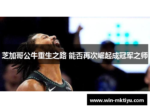 芝加哥公牛重生之路 能否再次崛起成冠军之师