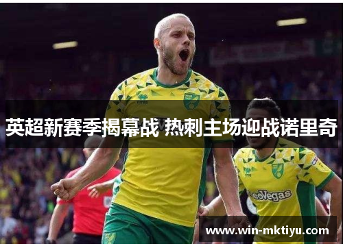 英超新赛季揭幕战 热刺主场迎战诺里奇