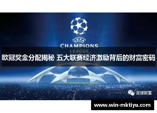 欧冠奖金分配揭秘 五大联赛经济激励背后的财富密码